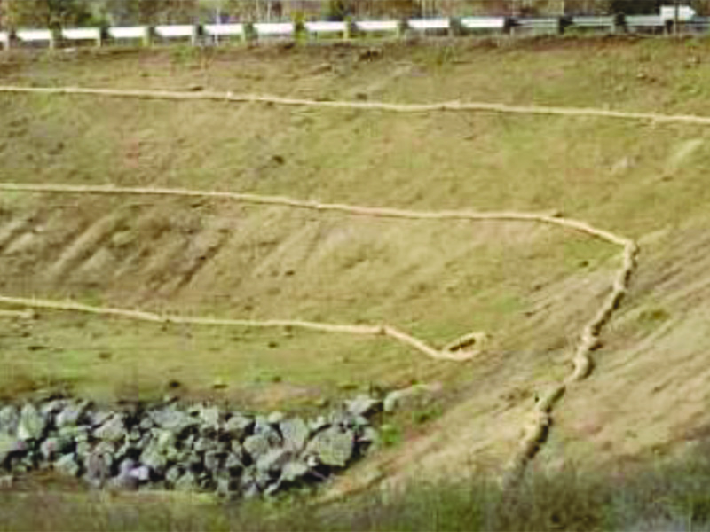 Wattles | Sediment Logs